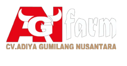 Perternakan sapi AGN